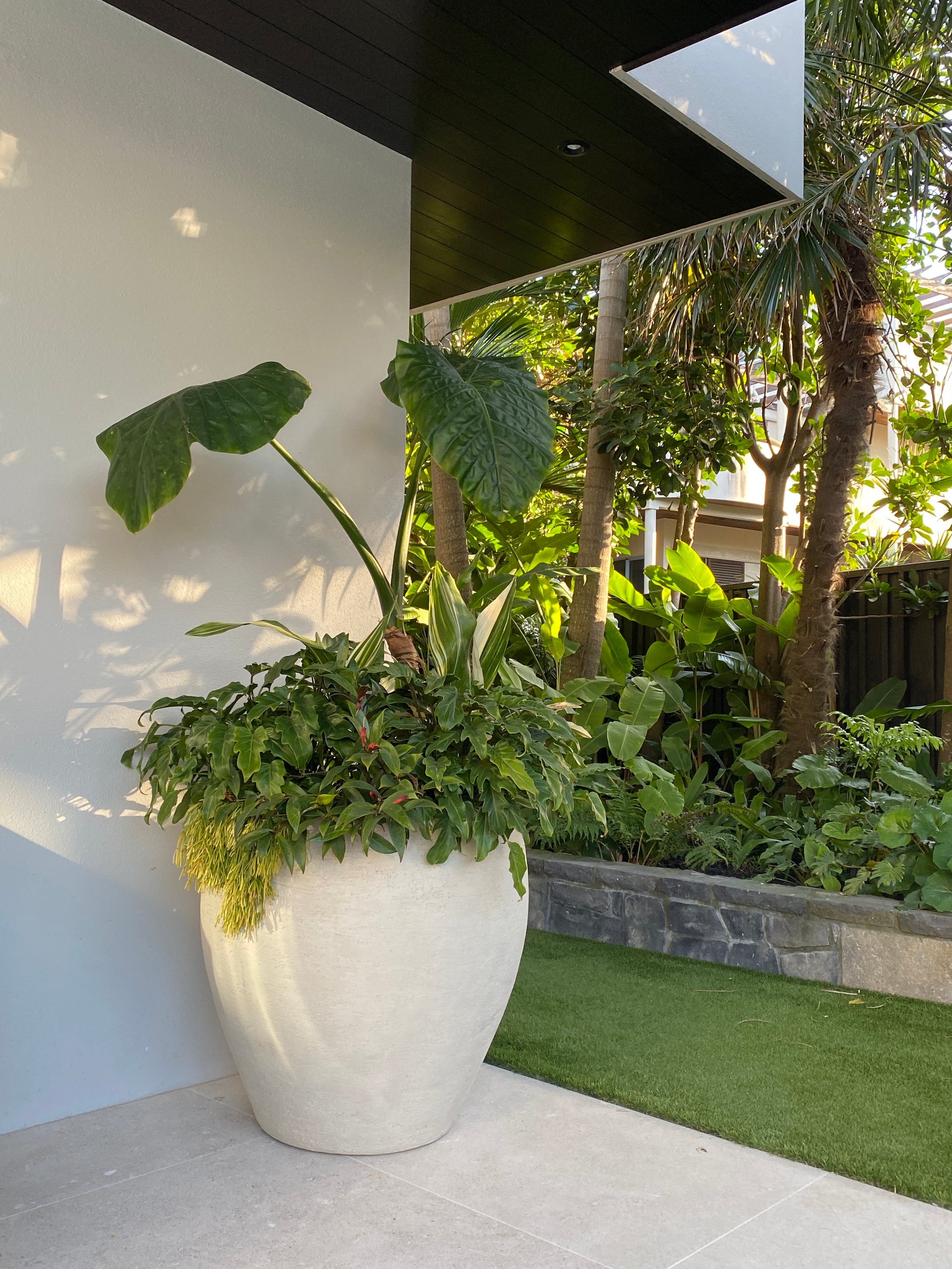 outdoor potted plants nz Potted Plant Installations for your home