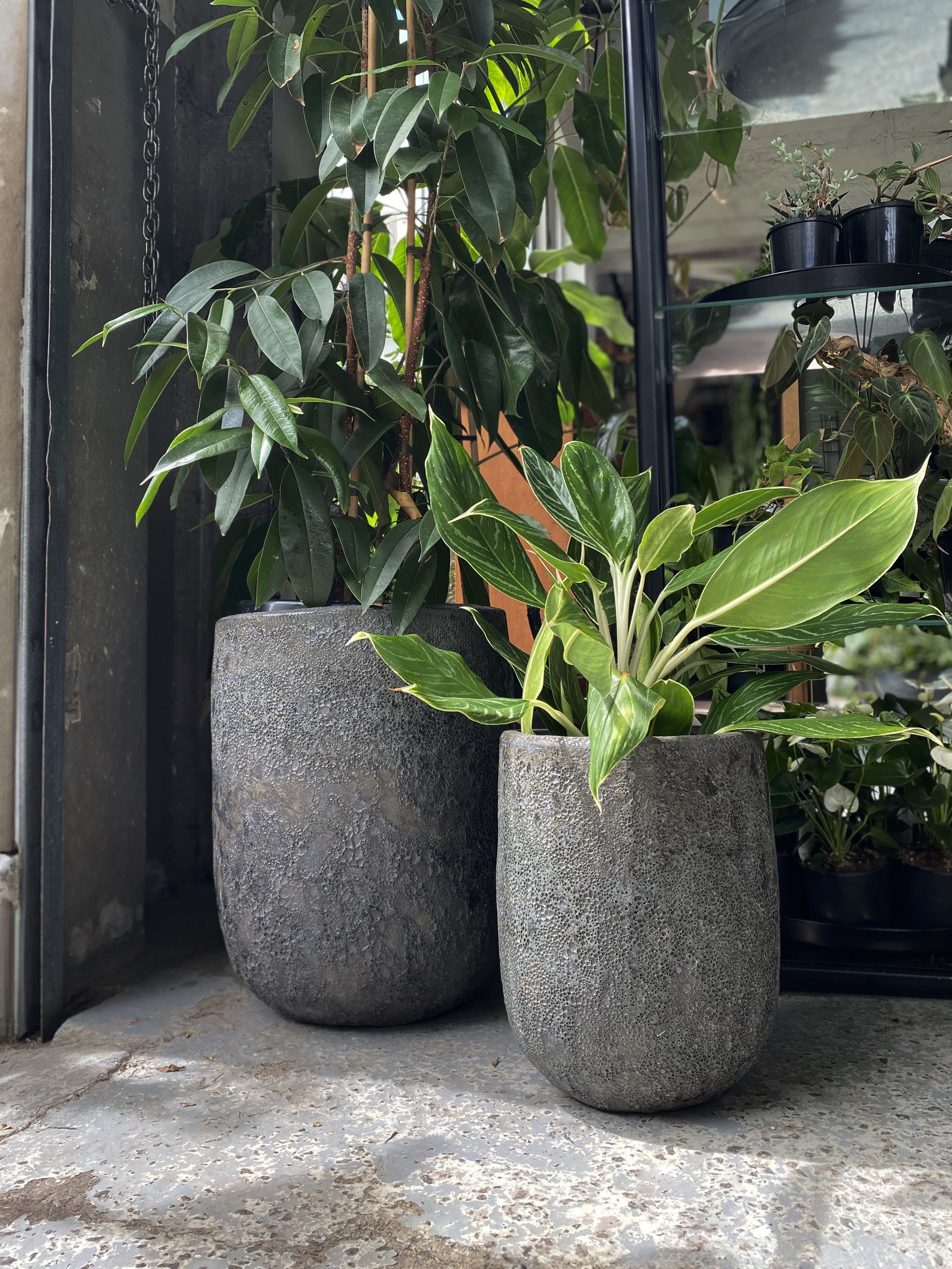lava plant pot Lava U Pot – Babylon Store