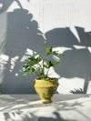 Moroccan plant pot