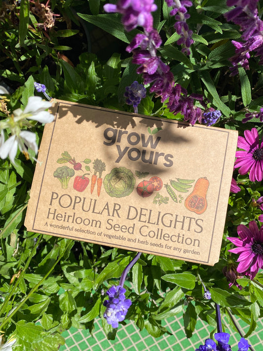 Grow Yours popular delights box