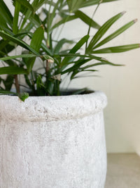 Buy Large Pots Online NZ