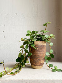 Two tone Nerikomi Vase