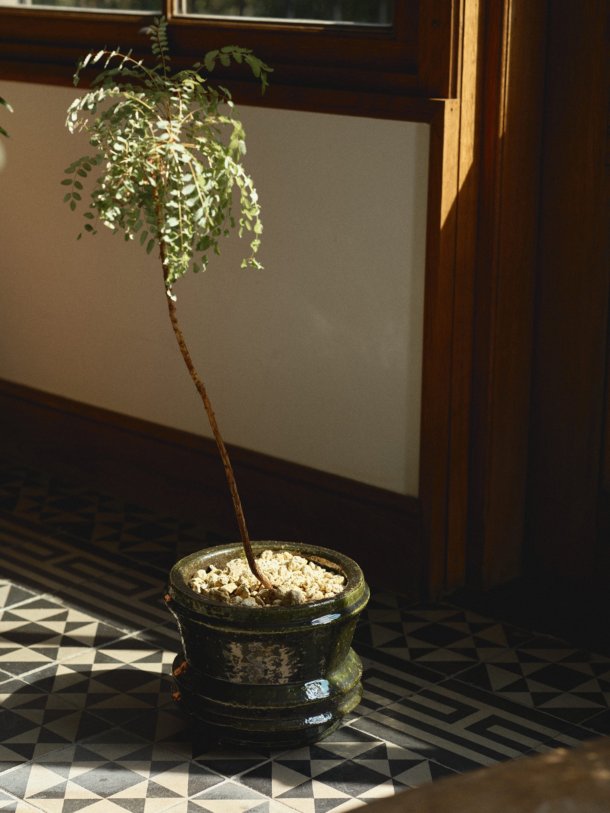 Mesa Planter by Kelly Wearstler
