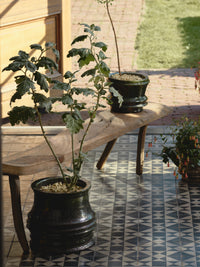 Mesa Planter by Kelly Wearstler