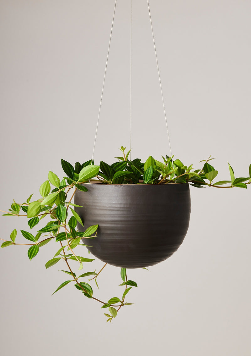 matte black hanging planter Spherical Hanging Planter – Babylon Store