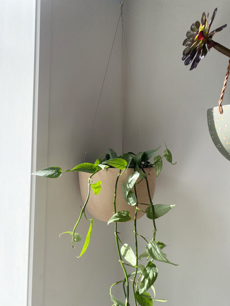 Terracotta hanging bowl