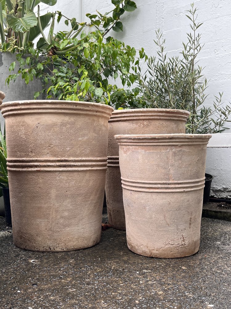 large pots for plants nz Antique chocolate terracotta tall planters – Babylon Store