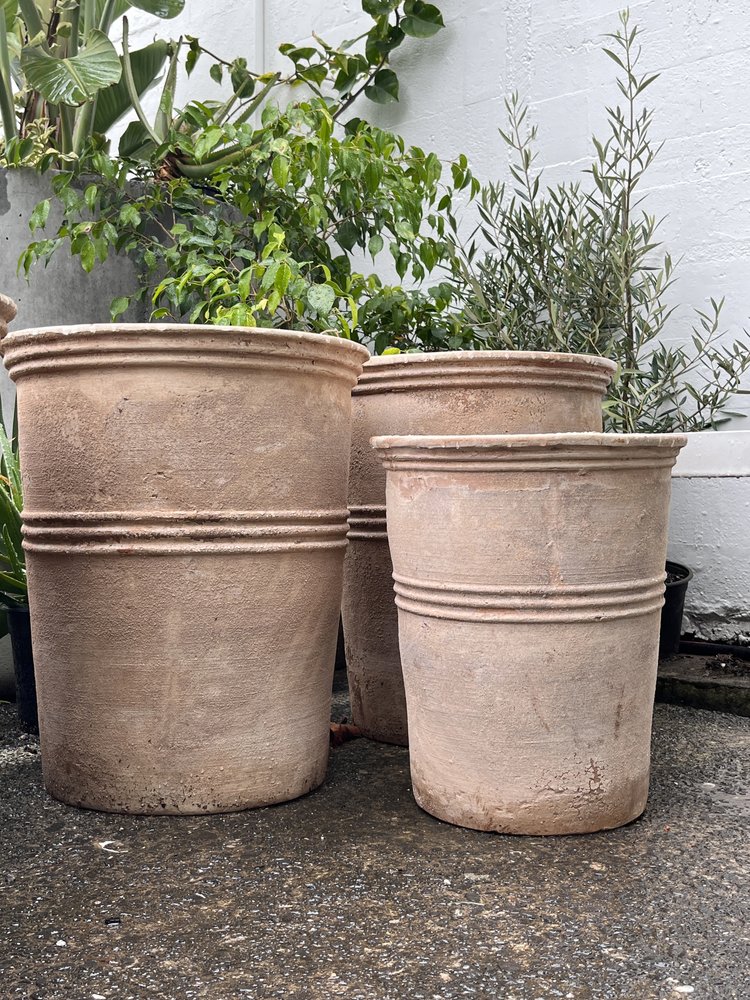 Antique chocolate terracotta tall planters