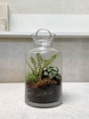 Apothecary bottle terrarium