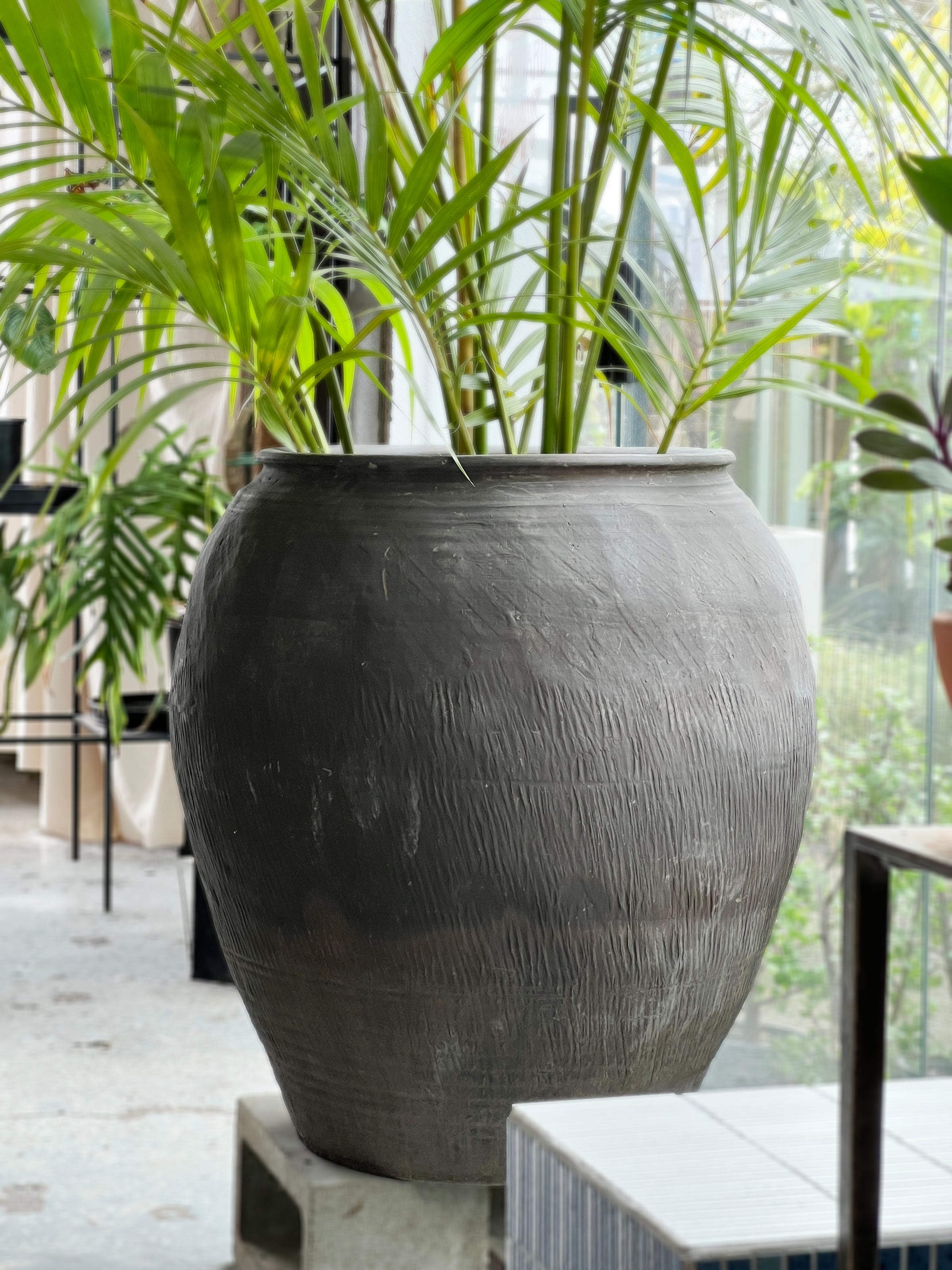Casa Original Pot