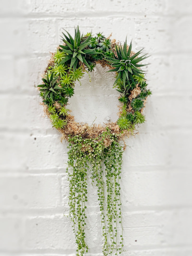 Succulent Wreath Workshop