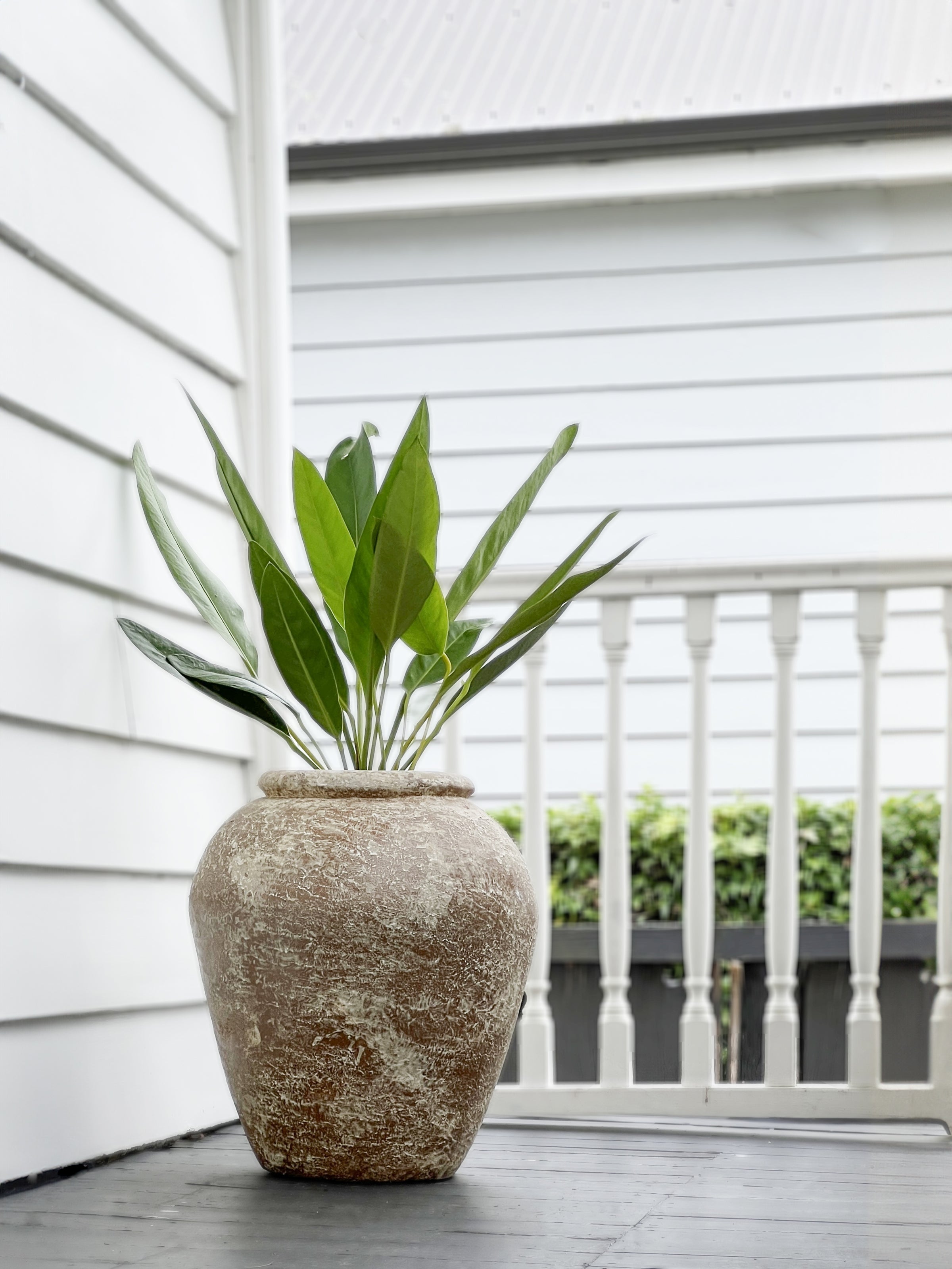 Coastal planter weathered