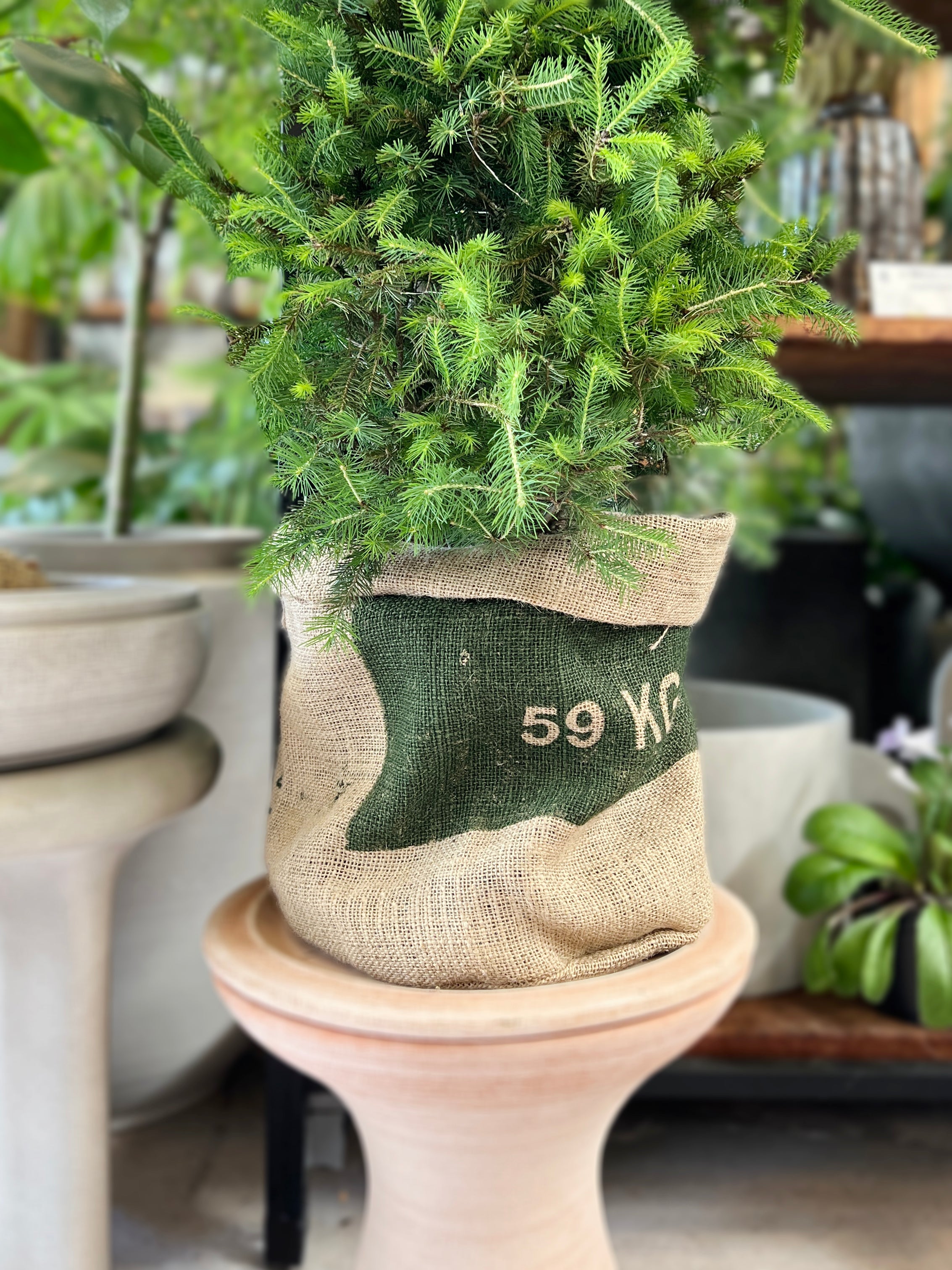 Coffee sack pot cover