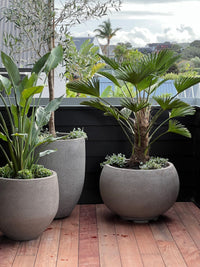 Riverstone Cut Ball Planter