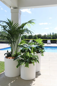 Mikonui cylinder planter