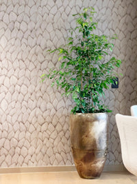 Kelda Metal Pot