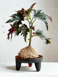 Flow resin - Structured bowl