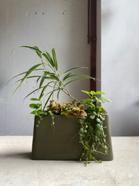 Haan planter