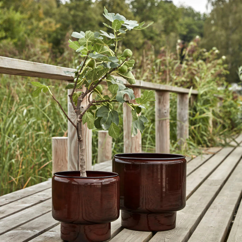 Iron flower planter