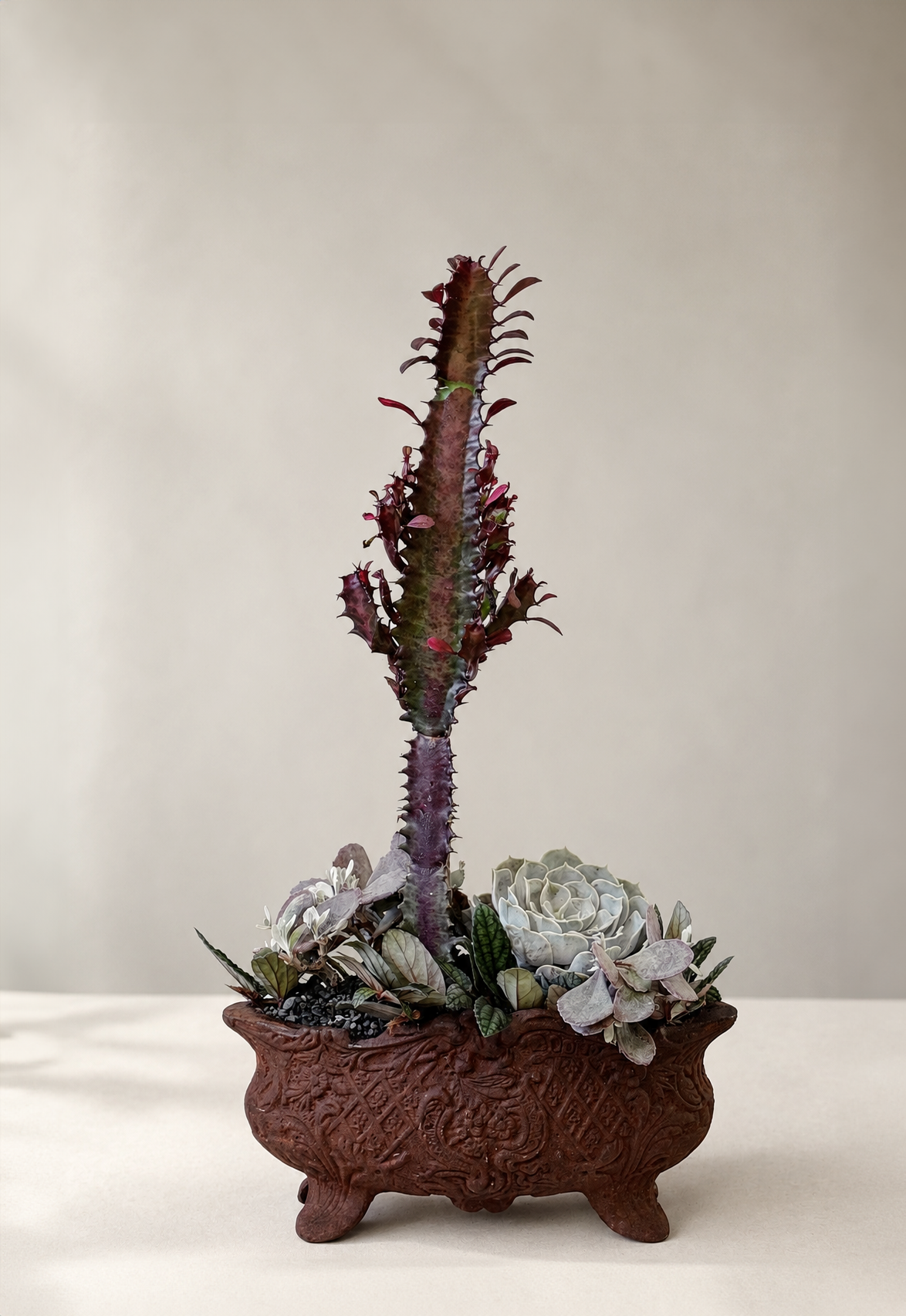 Iron Rose