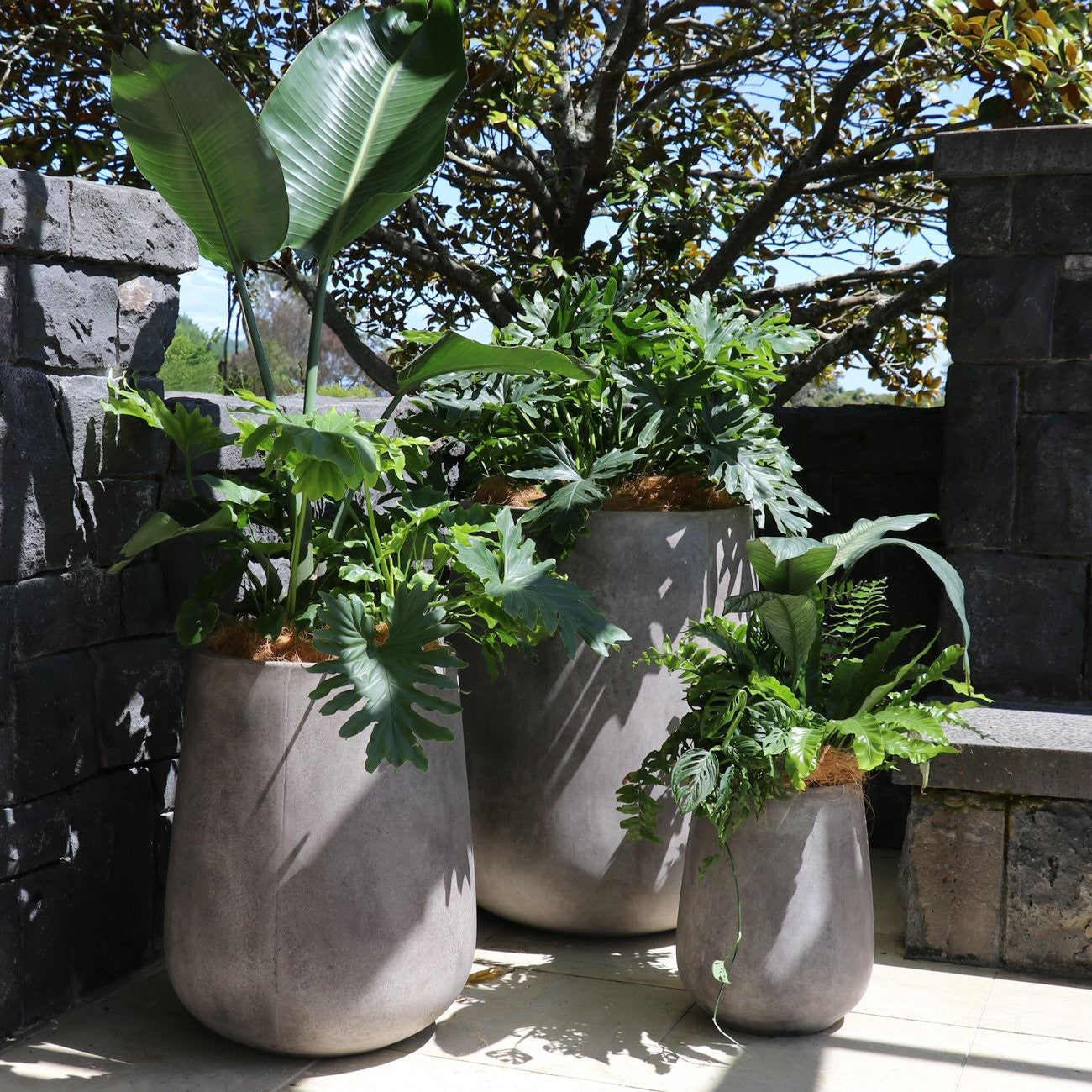 ceramic plant pots nz Karamea Pot – Babylon Store
