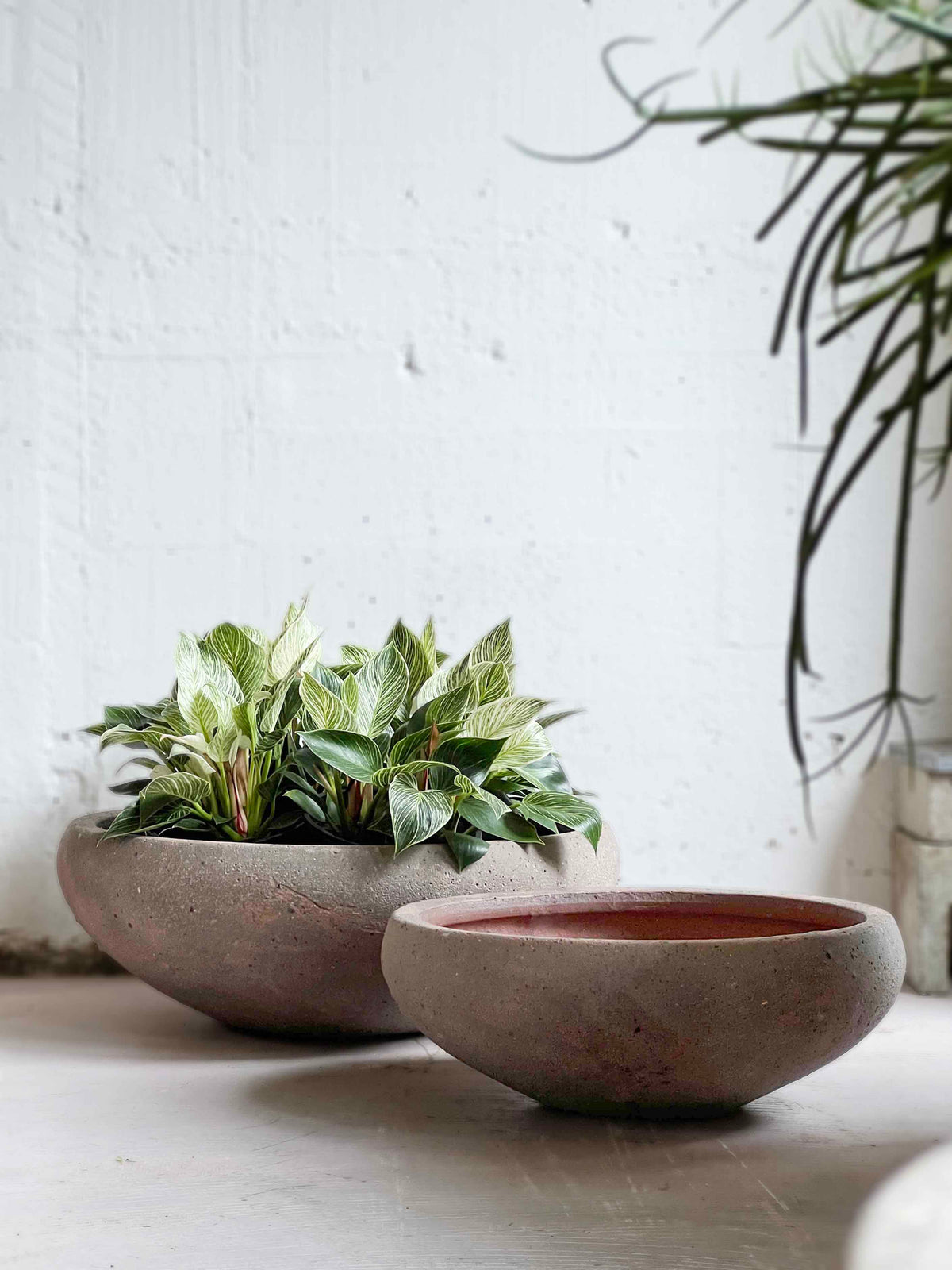 Old Stone Mega bowls