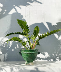 Moroccan plant pot