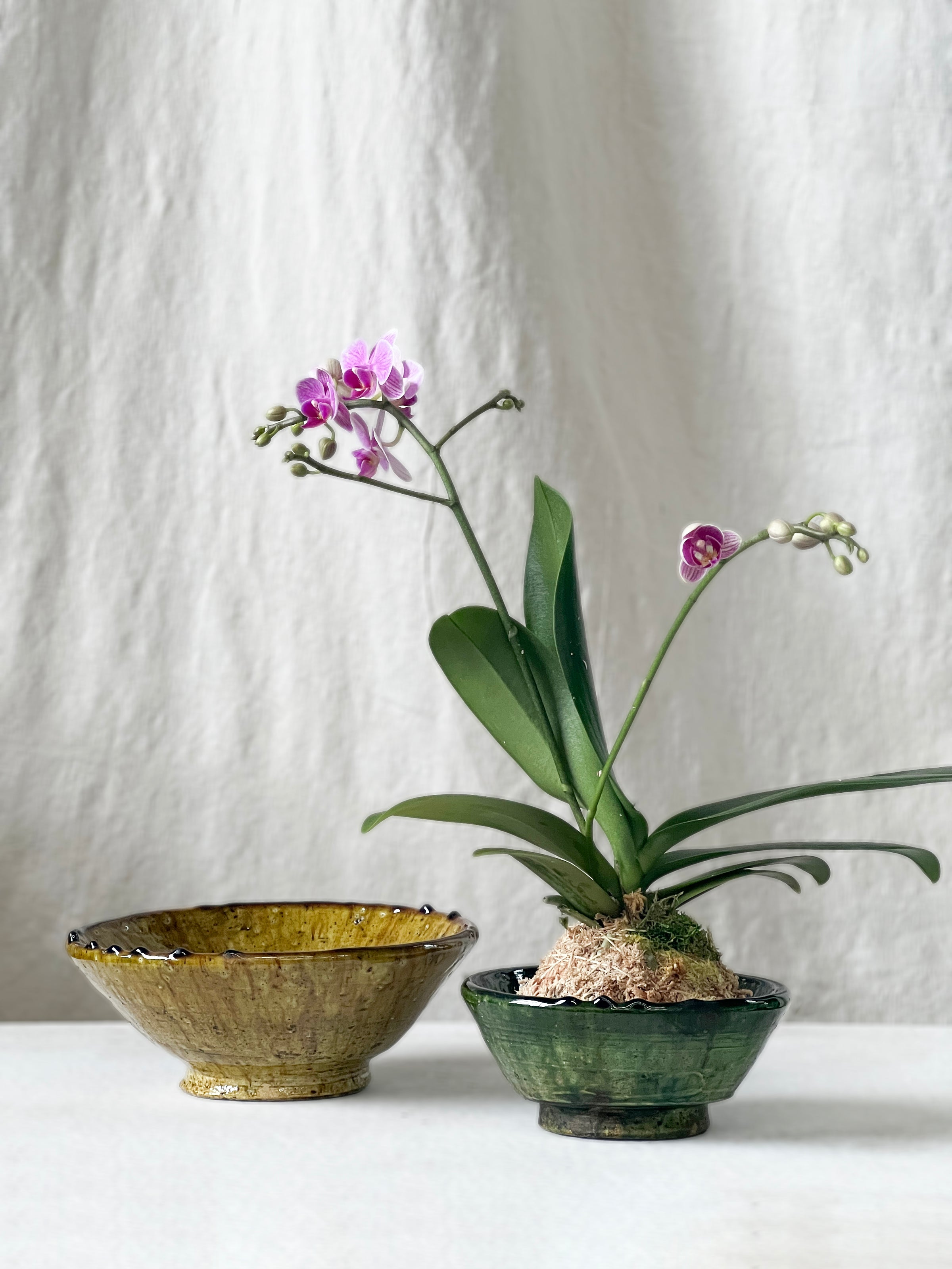 Tamegroute Moroccan bowl