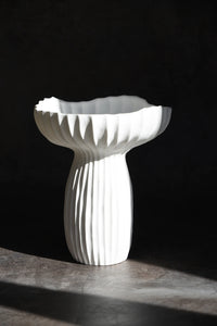 Mushroom Pot