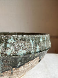 Mycelium woodland vessel