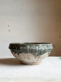 Mycelium woodland vessel