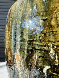 Ngā ngahere a Tāne Vessel