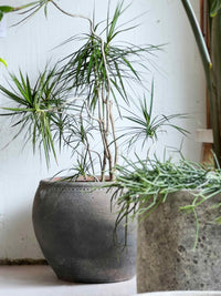Old Stone Sauce Jar