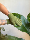 Potted Plant Treatment Visit