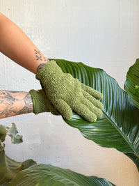 Potted Plant Treatment Visit