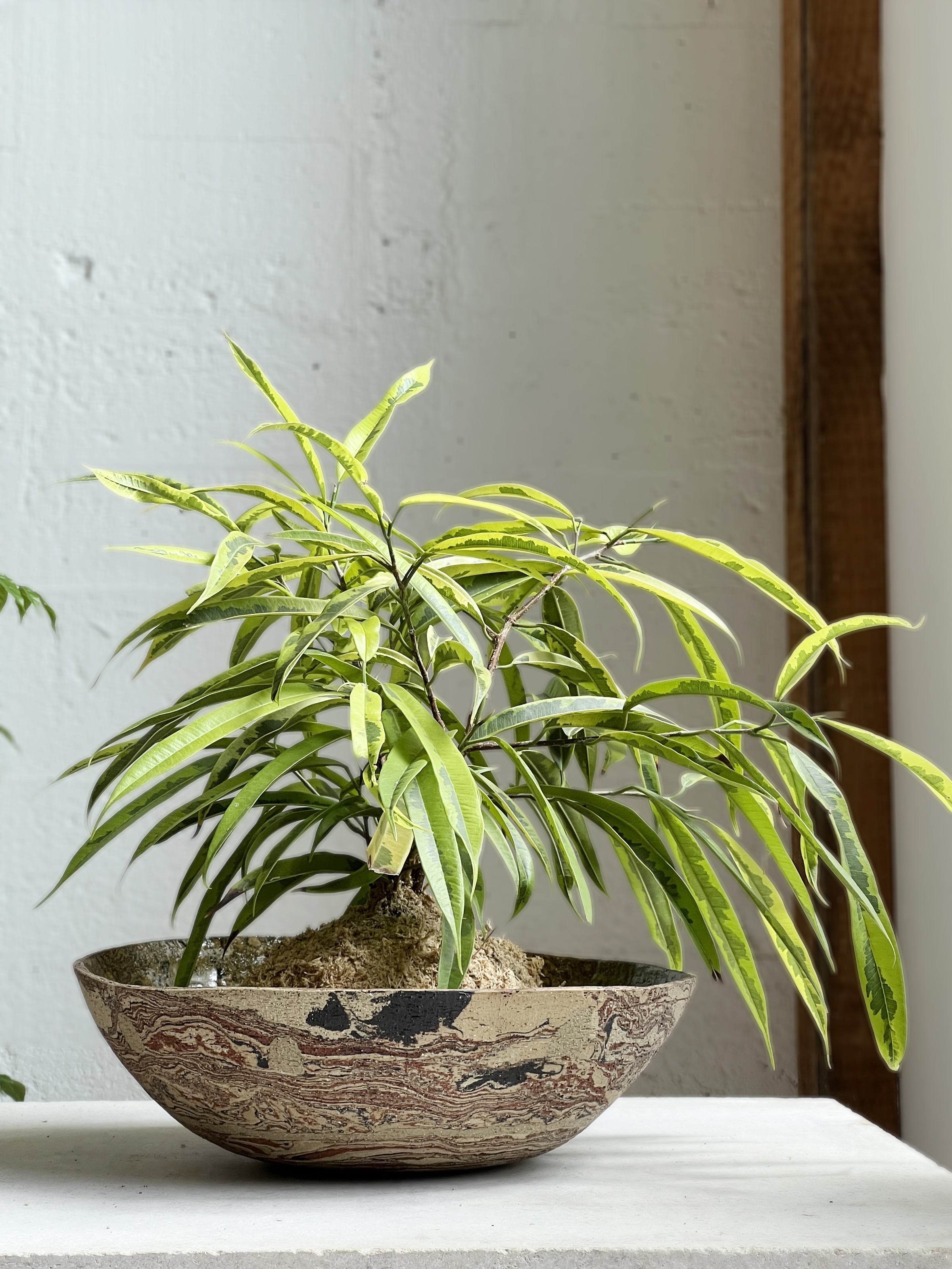 Semicircular Nerikomi Bowl