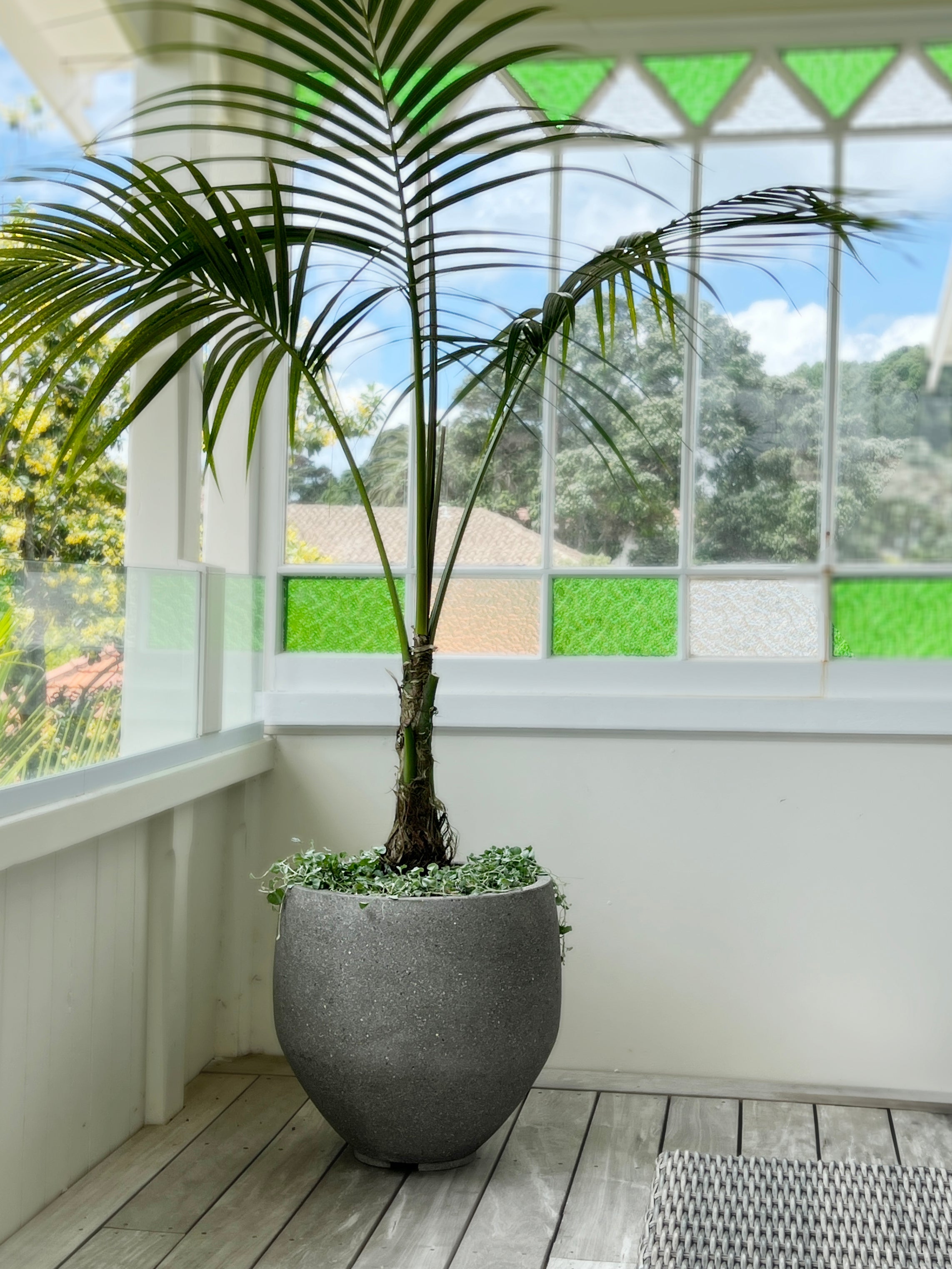 Riverstone Shaver Planter