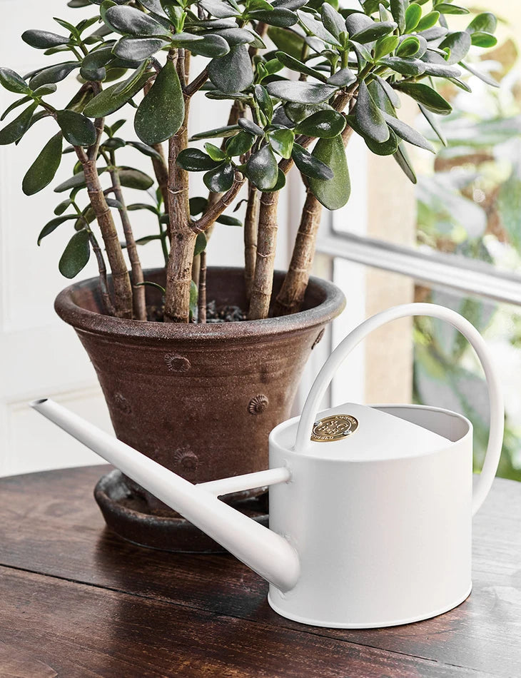 Sophie Conran Greenhouse watering can