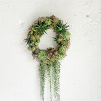 Succulent Wreath