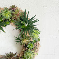 Succulent Wreath