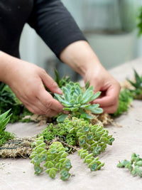 Succulent Wreath Workshop