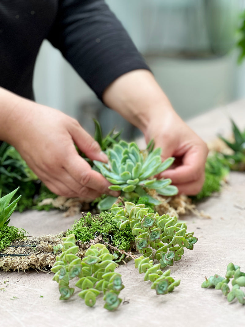 Succulent Wreath Workshop