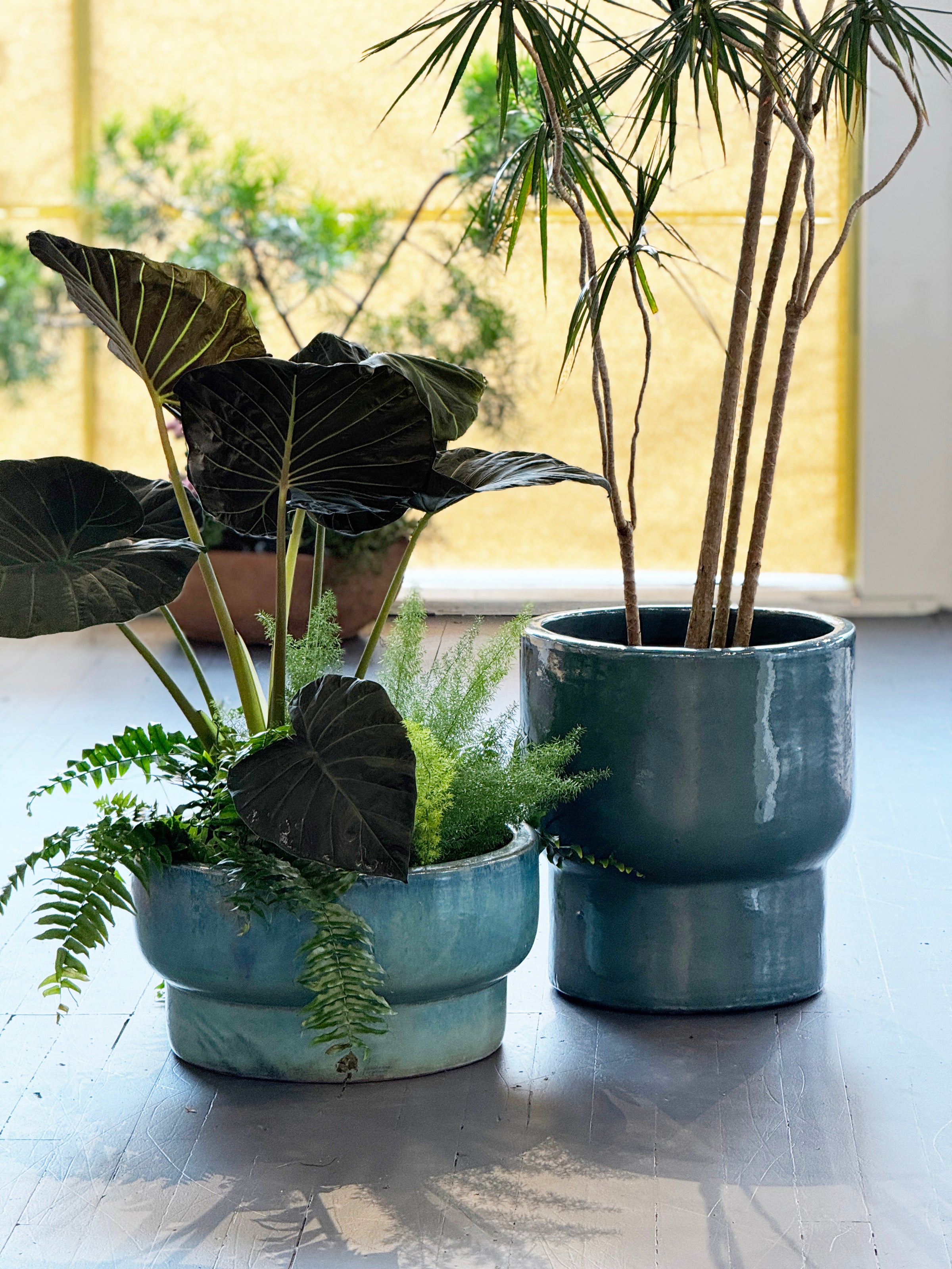 terra indoor plants Terra Green Planters – Babylon Store
