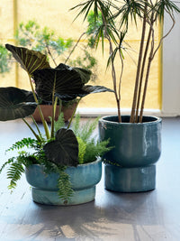 Terra Green Planters