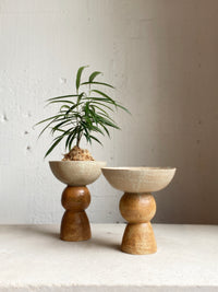 Bead Kokedama Stand