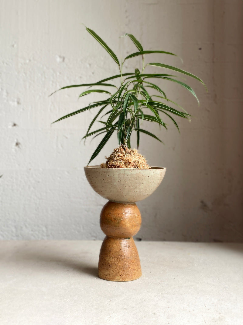 Bead Kokedama Stand