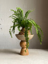 Bead Kokedama Stand