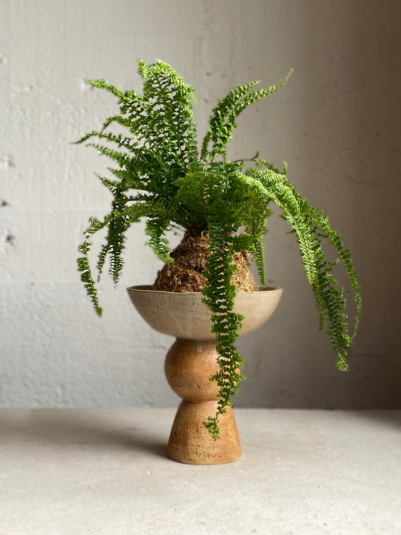 Bead Kokedama Stand