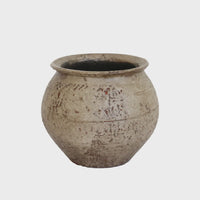 Tuscan Sofia Urn