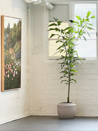 Volumes pot by Piet Boon